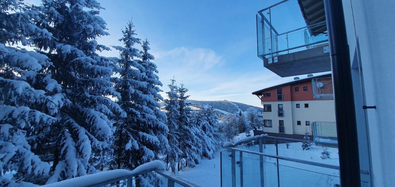 Apartman Nerudovka D 104, Finska Sauna, Garazove Stani Loucna pod Klinovcem Luaran gambar