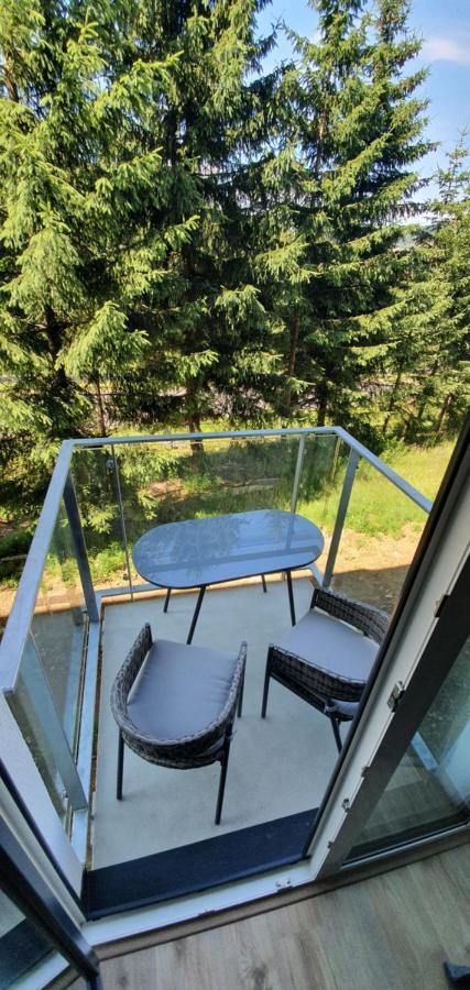 Apartman Nerudovka D 104, Finska Sauna, Garazove Stani Loucna pod Klinovcem Luaran gambar
